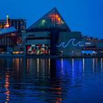 National Aquarium