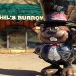 Phil's Burrow