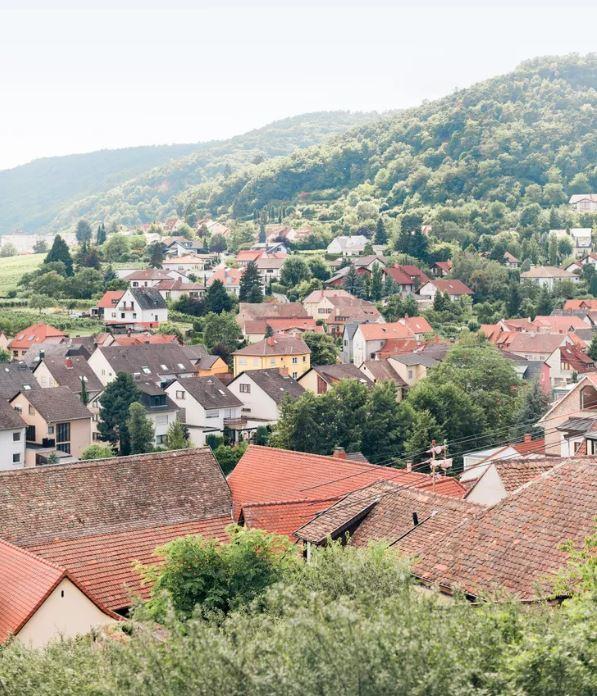 The Wedding Website of Amanda Mayfield and Daniel Horst