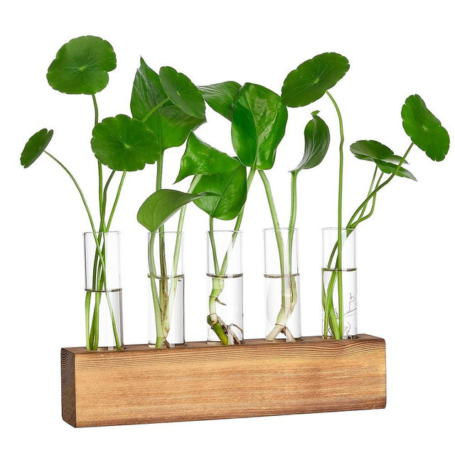 YIBOT Propagation Stations, Plant Propagation Tubes,Unique Gifts for Plant Lovers Plant Terrarium with Wooden Stand,Home Office Desk Decor,5 Glass Test Tube Vases