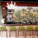 Canopy Wine Lounge