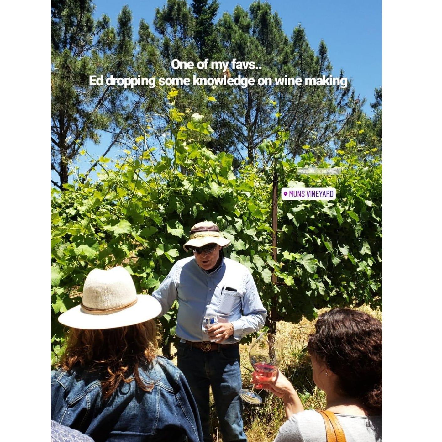 Our friend, Mr. Muns himself at Muns Vineyard getting technical about his process and product. #Nerd #ScienceFTW