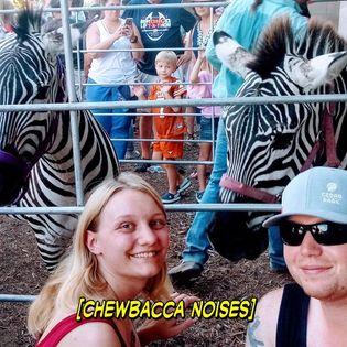 ZEBRAS!!!!!!