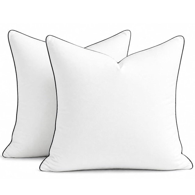 puredown® 24x24 Pillow Inserts Set of 2, Full Fluffy Down Alternative Euro Pillows, Soft Plush Decorative Throw Pillows for Couch, Sofa, Bed and Home Decor