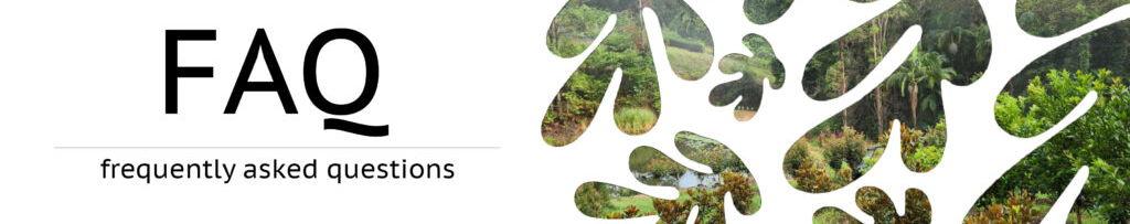 The Wedding Website of Michaela Duncan and Sebastian Cantellops