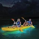 Bio Bay Kayak Tours