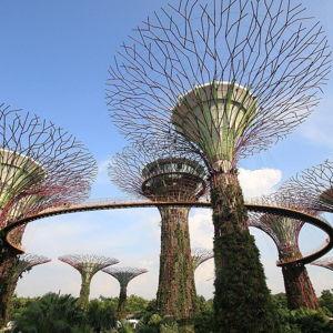 Singapore Gardens by the Bay