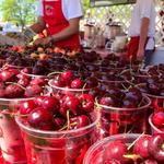 National Cherry Festival