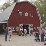 Old MacDonald's Farm