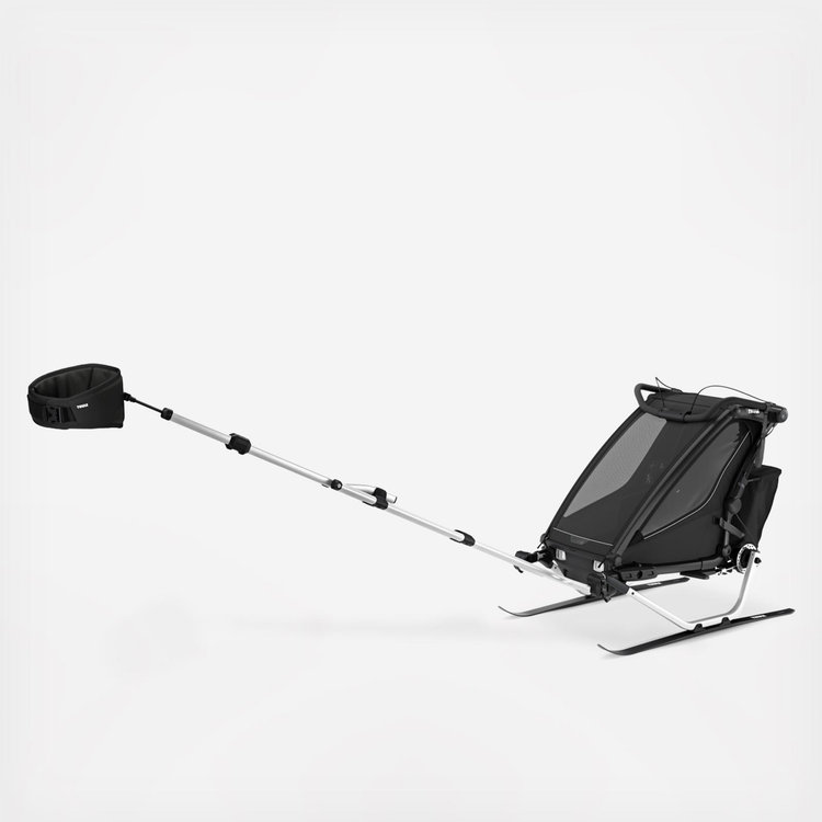 Thule, Chariot Sport 2 Single Seat Bike Trailer | Zola Baby