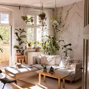 Plants, Gardening, Lighting, Interior Design Fund