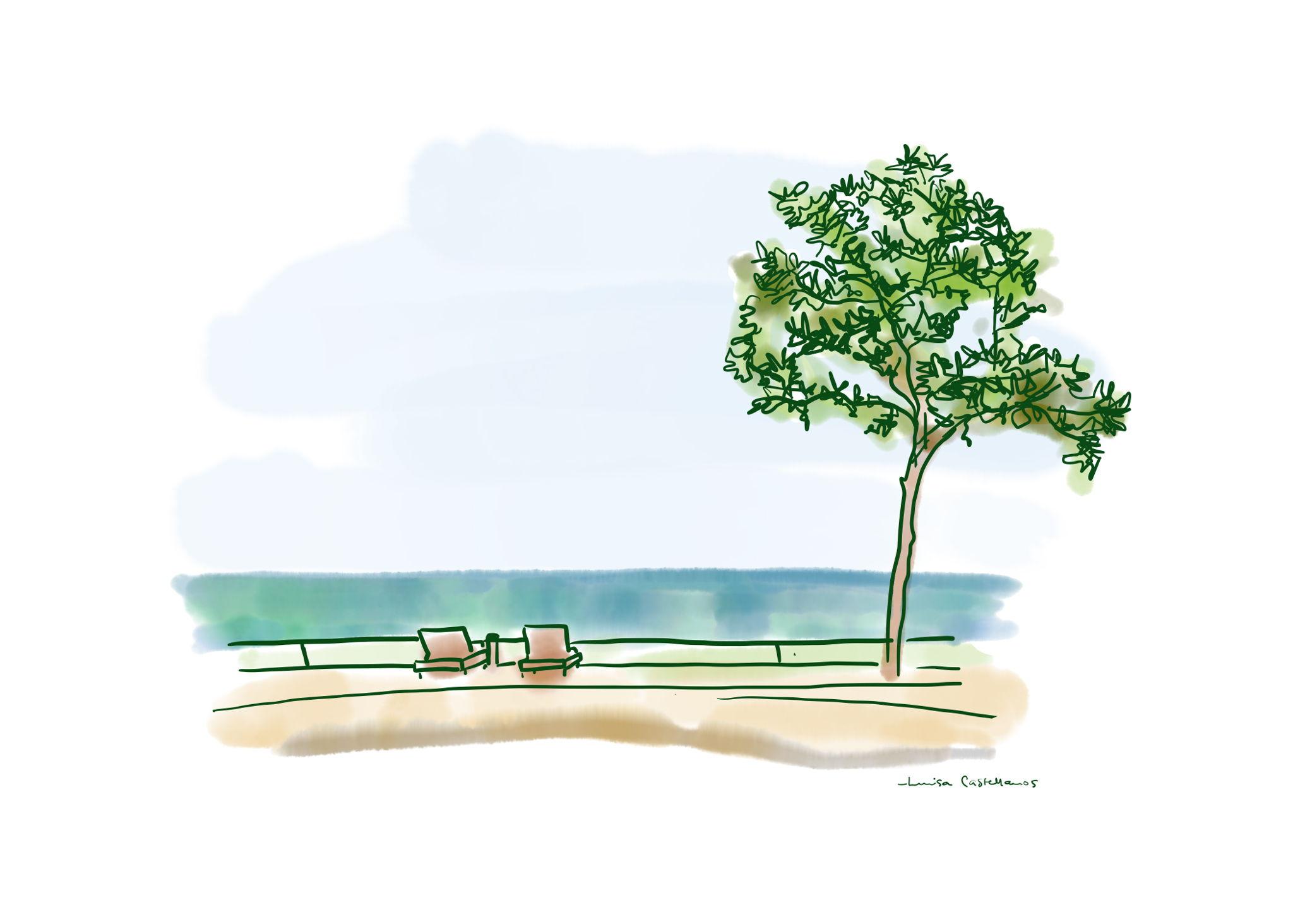 The Wedding Website of Marion Birdsall and Frederico Castellanos