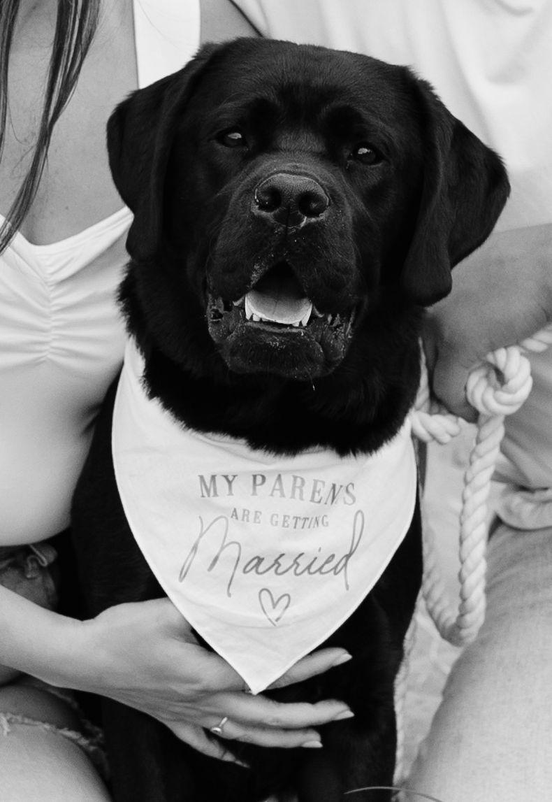 The Wedding Website of Morgan Larsen and Toi Yamamoto