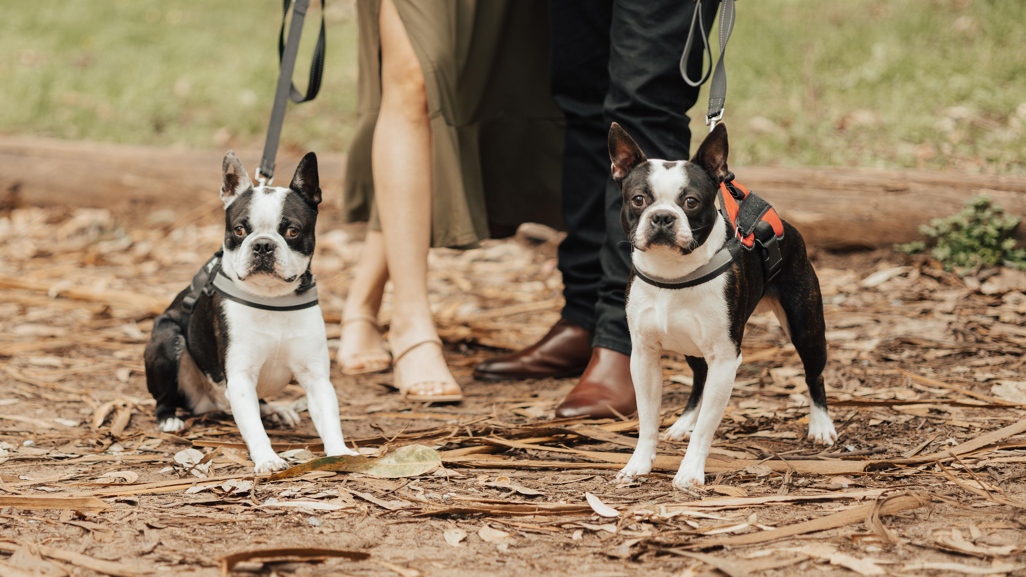 25950d52-a2b8-4c69-ab54-9f9351c87acc