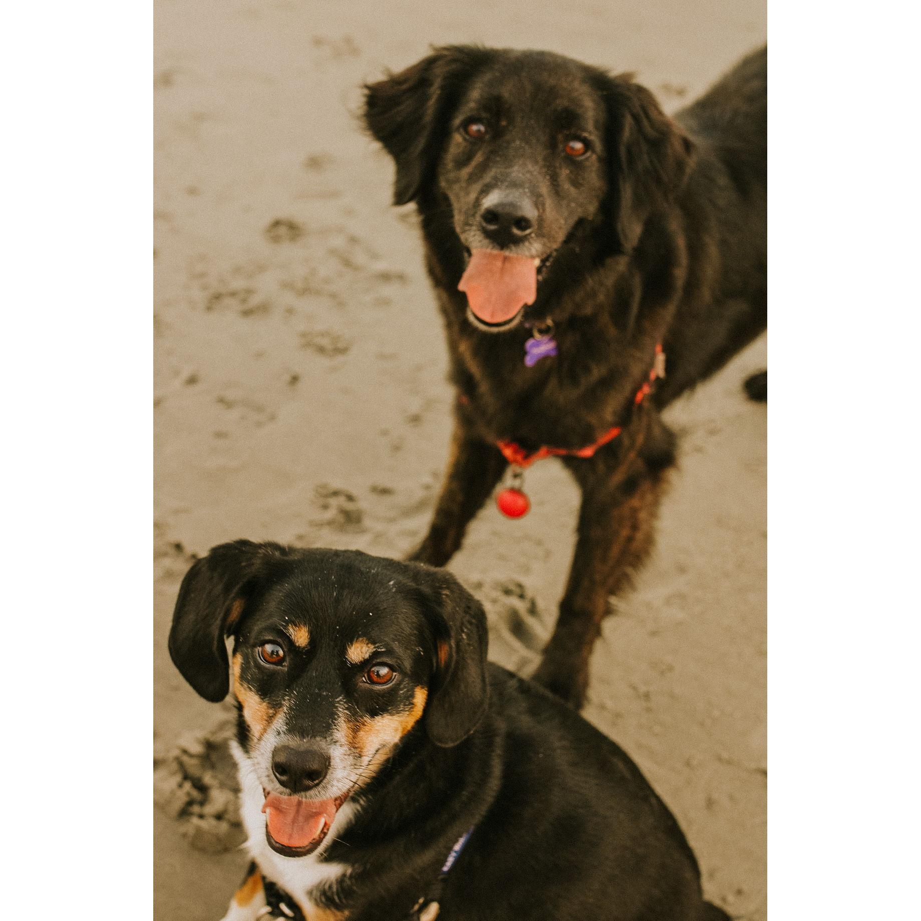 Bayla & Samson