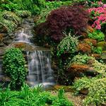 Cleveland Botanical Garden