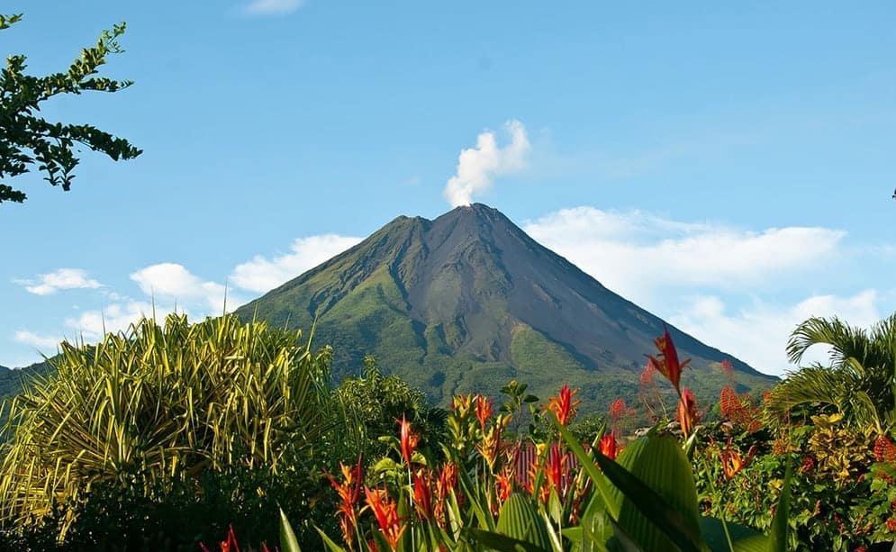 259c762a-10d8-47d2-b6d6-607c69ebb93b