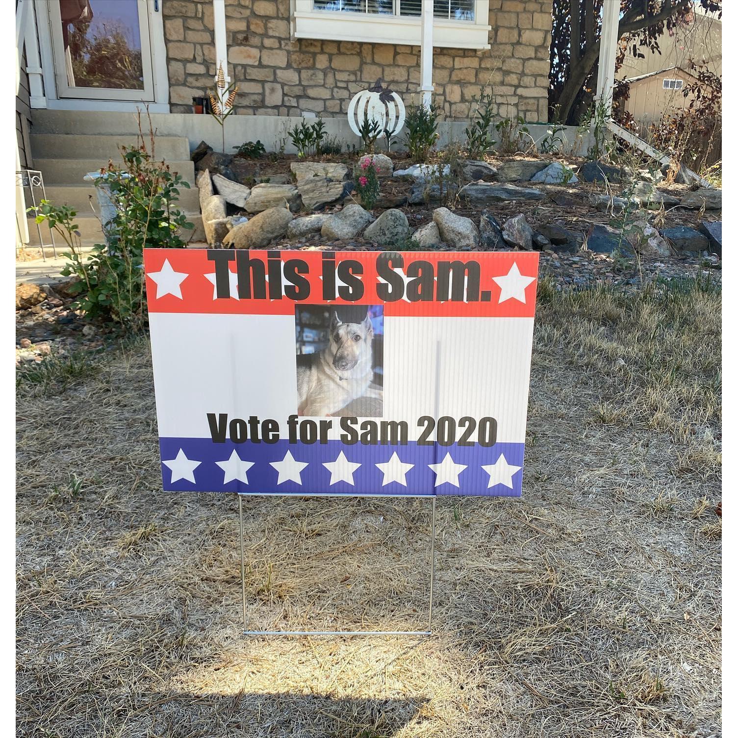 We both supported Sams run for office