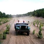 Crystal Ridge Winery