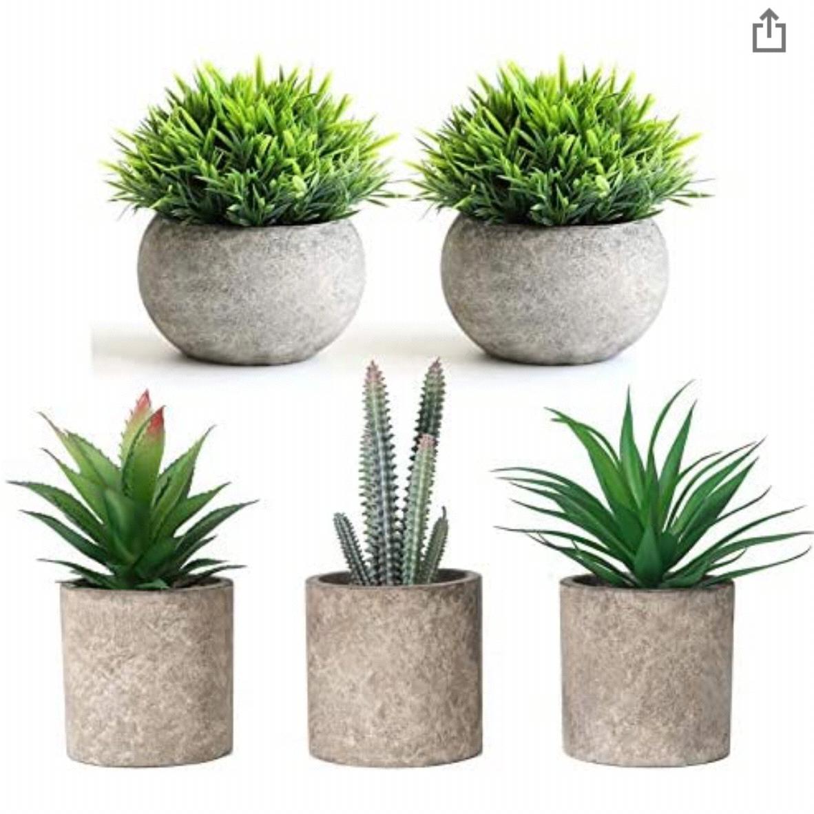 THE BLOOM TIMES 2 Pcs Fake Plants, 3 Pcs Artificial Succulents Plants