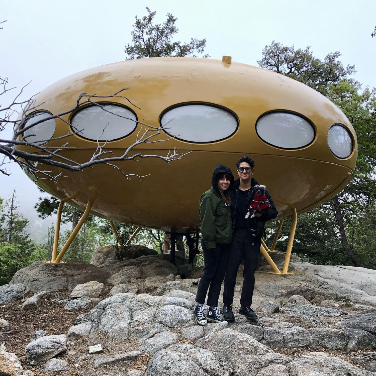 A cool alien spaceship we found in Idyllwild