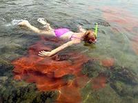 Red Reef Park