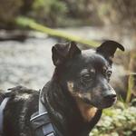 Des Moines Creek Trail Park