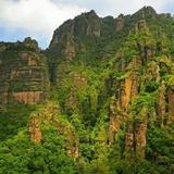 🌿Parque Nacional El Tepozteco