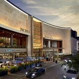 The Galleria (Activity)
