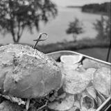 Lake Superior Burger Company