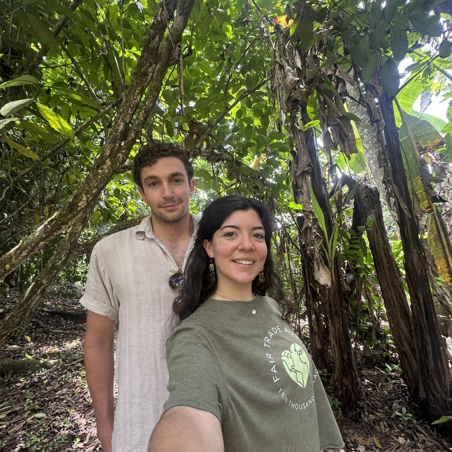Costa Rica jungle