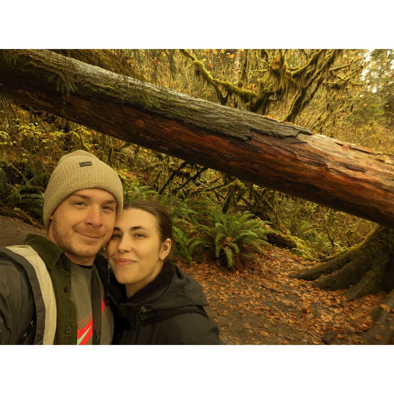 At the Hall of Mosses in Olympic, the lighting made everything weirdly green.
