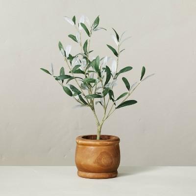 16" Faux Olive Leaf Plant - Hearth & Hand™ with Magnolia