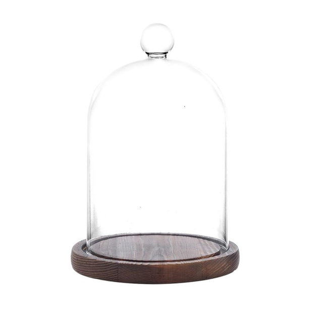REFSAVER Glass Dome with Base,Glass Cloche Bell Jar,Display Case with Wooden Base for Plants,Collectibles (4.7 * 6.3 inches)