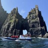 Dingle Dolphin Boat Tours