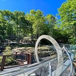 Wilderness Run Alpine Coaster