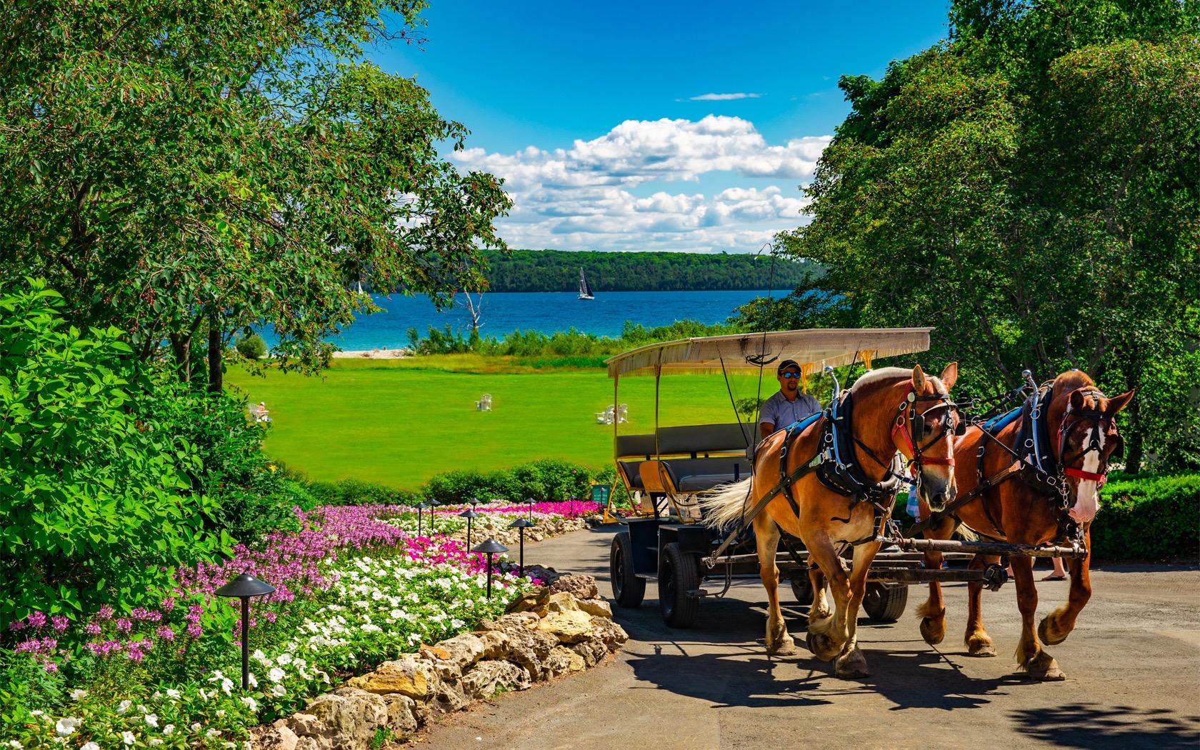 The Wedding Website of Hannah Tucker and Dylan Kiger