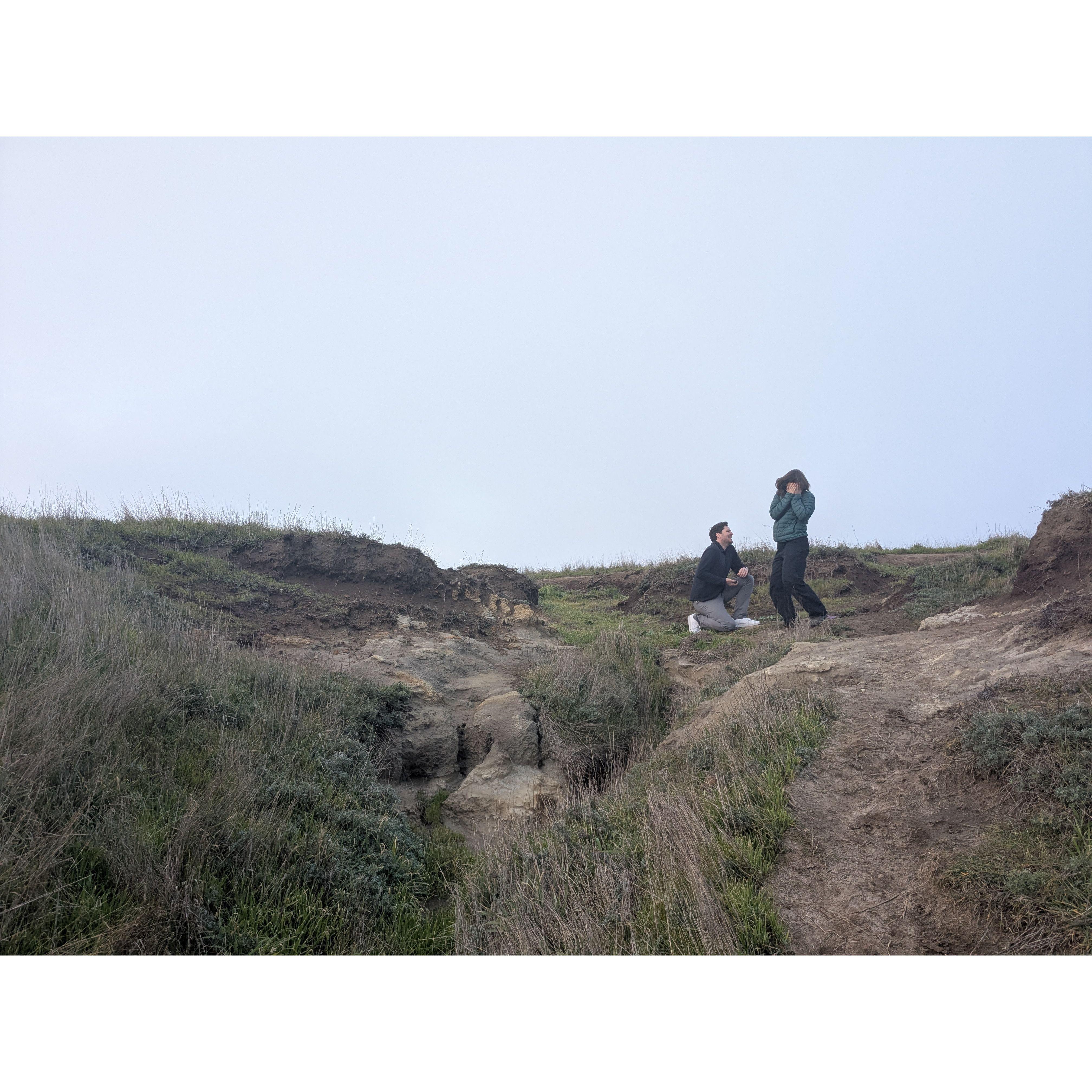 Drew proposing on the Mendocino Headlands