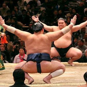 Sumo Wrestling Grand Tournament Ticket