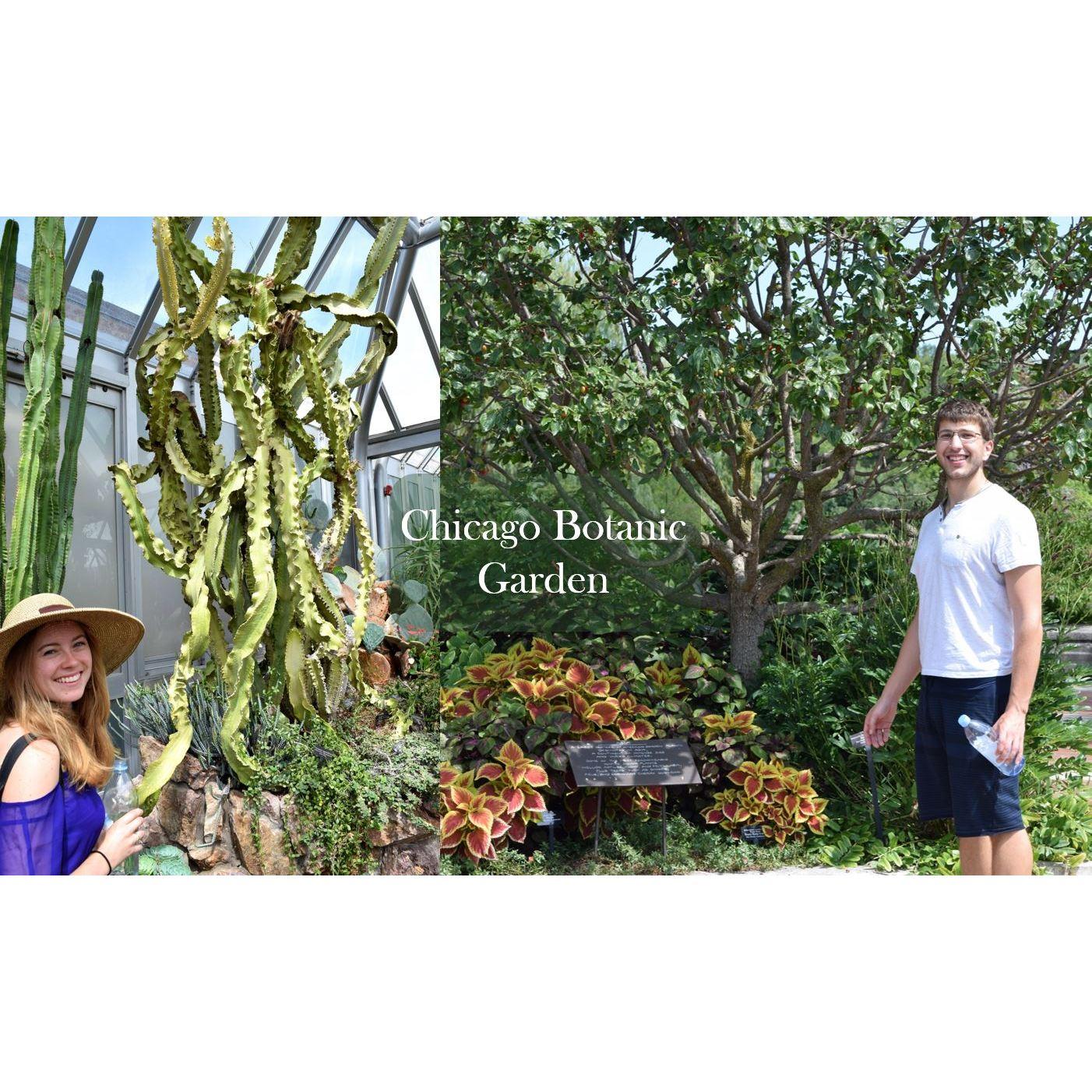 One of our trips to the Chicago Botanic Garden