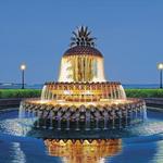 Pineapple Fountain