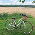Basket & Bike