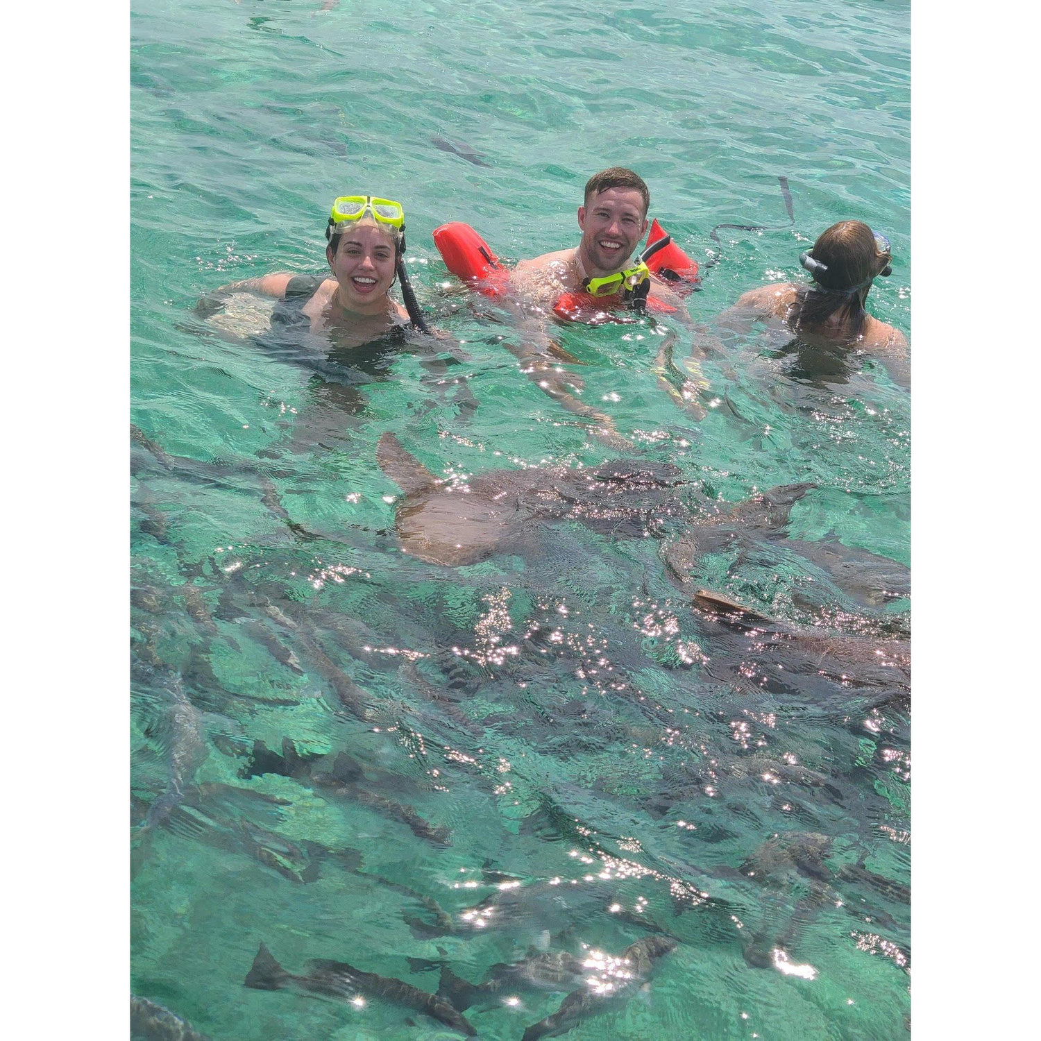 Belize Barrier Reef