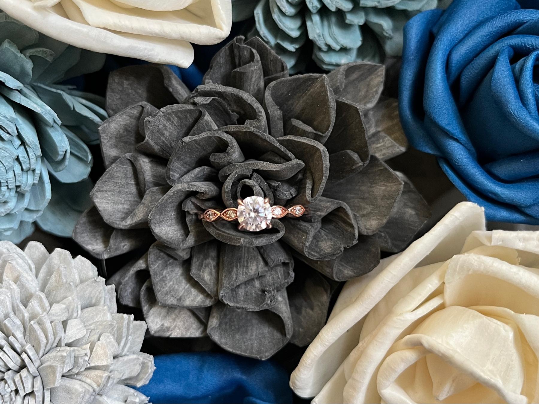 The Wedding Website of Jordyn Anderson and Marc Roberts