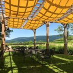 Catoctin Breeze Vineyard