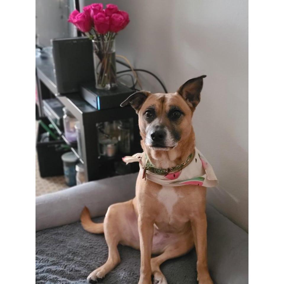 Miss Nala Banner - 7 years old