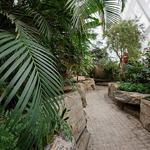 Butterfly Conservatory