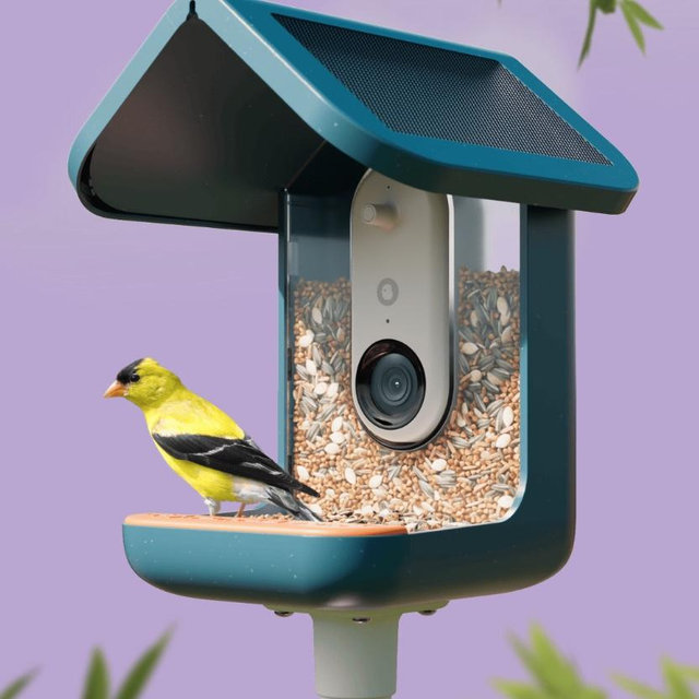 Bird Buddy Smart Bird Feeder PRO Solar