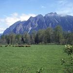 Mt. Si Hike