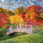Fort Worth Botanic Gardens